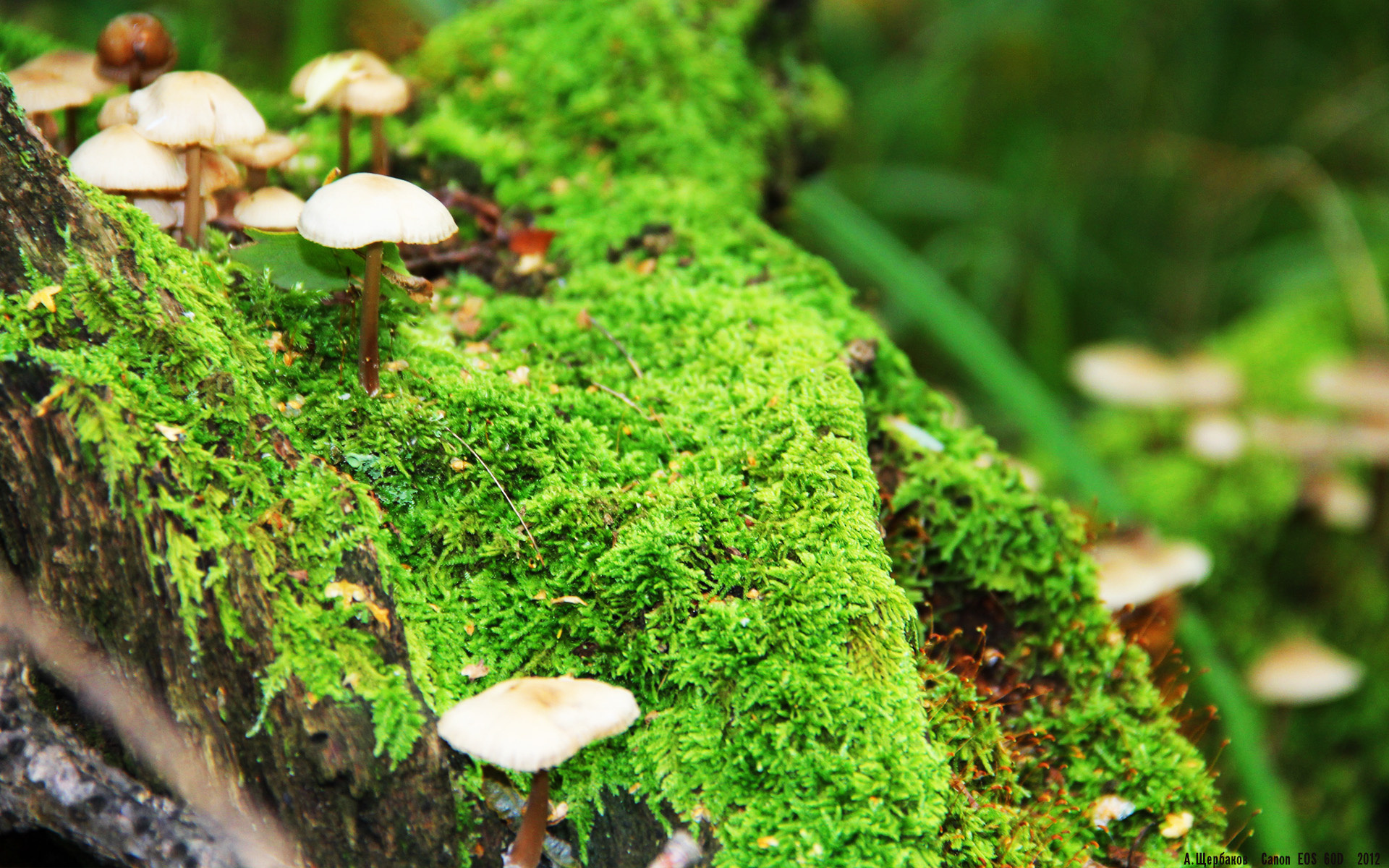 “青训教练员培训班在全国多地同步开启,提升专业水平”,青少年教练员等级培训考核管理办法