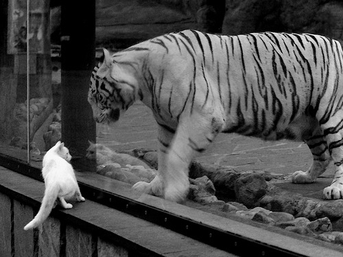 “逆境奋战:车手征服极端环境的壮丽史诗”