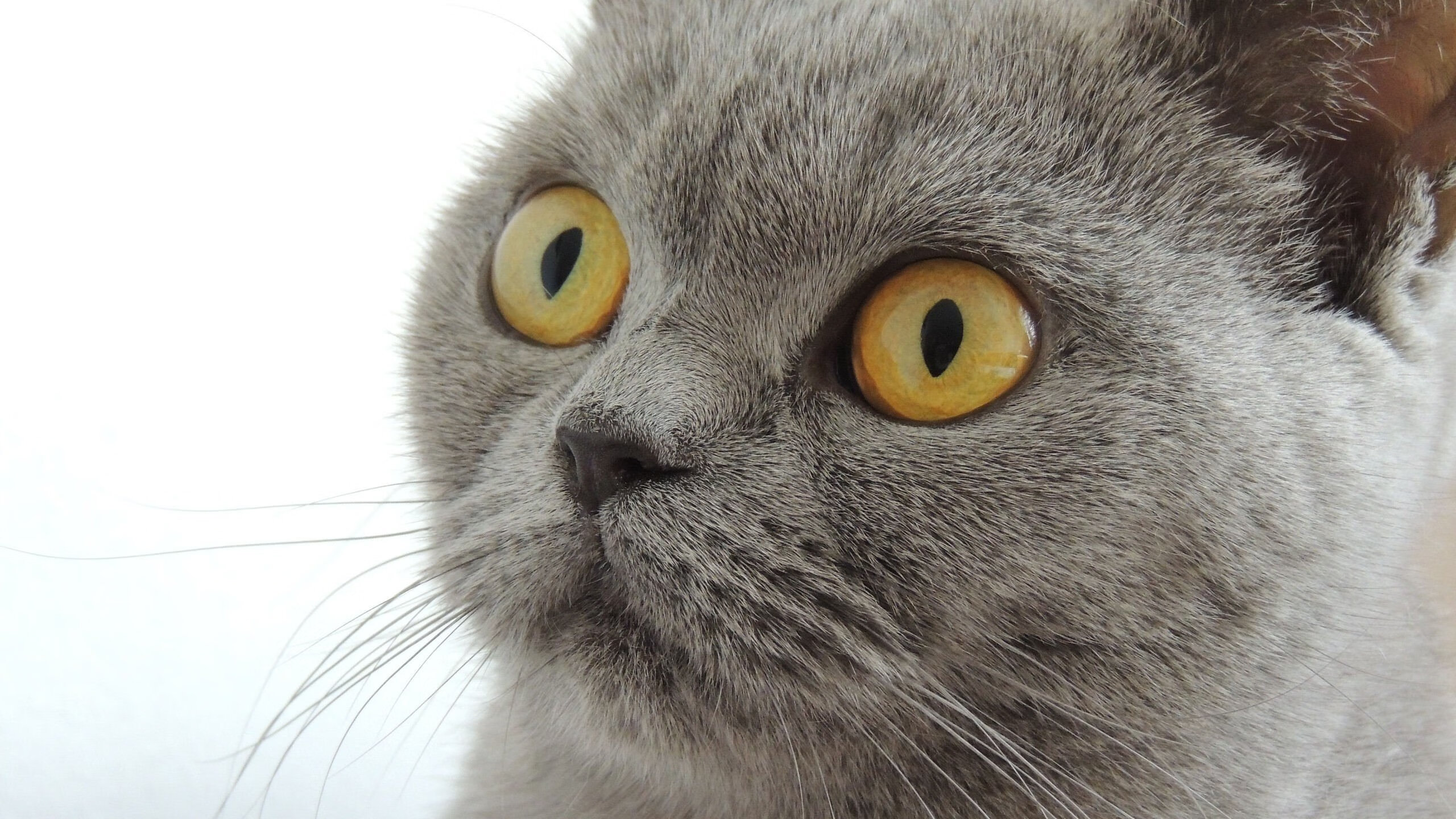 “青春梦想”青少年篮球公益讲座在湖南成功举办,青少年篮球大赛