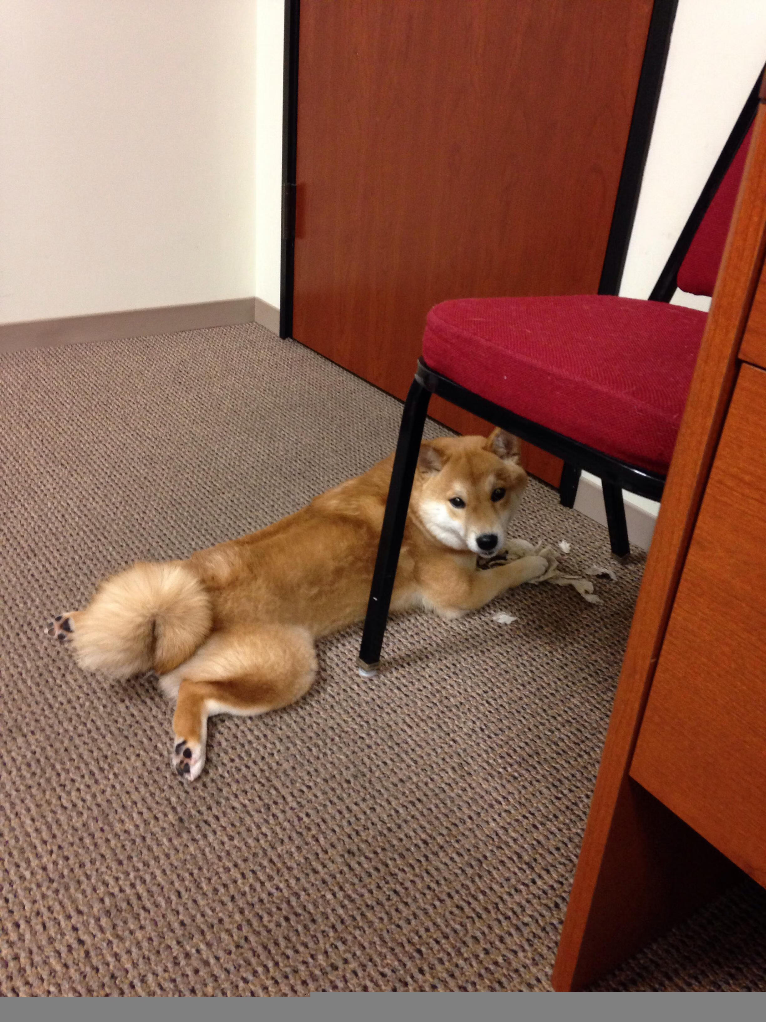 “青春飞扬”青少年篮球精彩表演在武汉震撼上演,彰显青春风采