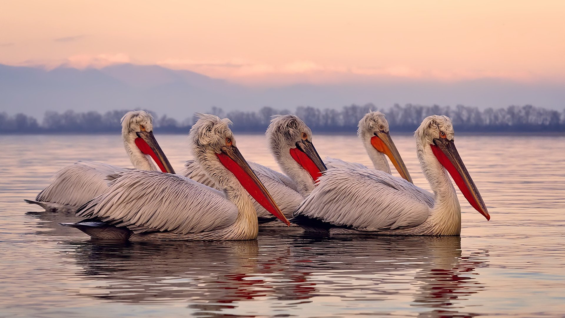 《线上线下融合:混合赛事带来新体验》,线上线下融合的模式
